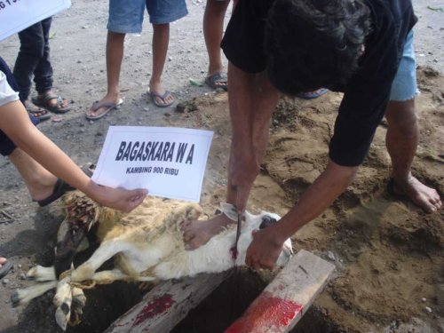 DSC05184_1